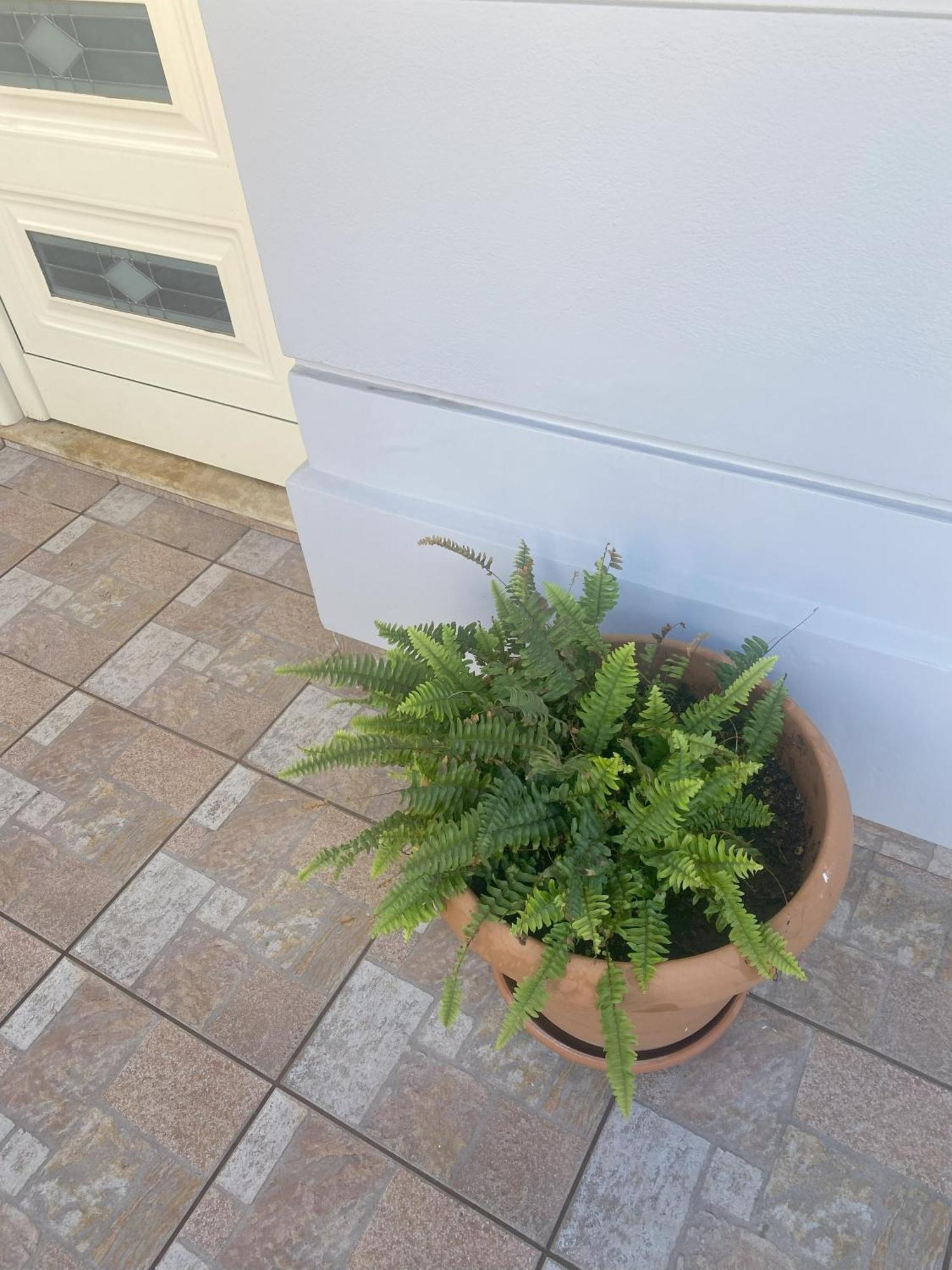 New Unique Apartment In Heraklion Экстерьер фото